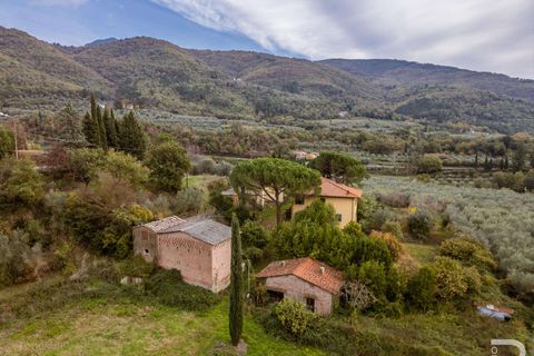 Farm hus i Loro Ciuffenna, Arezzo, Loro Ciuffenna - € 790.000 | Ref: R06855LORU-1322830 - foto 6
