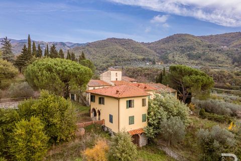 Farm hus i Loro Ciuffenna, Arezzo, Loro Ciuffenna - € 790.000 | Ref: R06855LORU-1322830 - foto 8