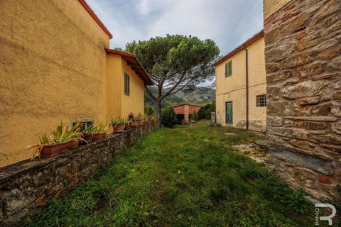 Farm hus i Loro Ciuffenna, Arezzo, Loro Ciuffenna - € 790.000 | Ref: R06855LORU-1322830 - foto 16