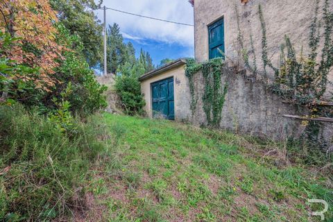 Farm hus i Loro Ciuffenna, Arezzo, Loro Ciuffenna - € 790.000 | Ref: R06855LORU-1322830 - foto 25