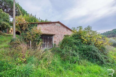 Farm hus i Loro Ciuffenna, Arezzo, Loro Ciuffenna - € 790.000 | Ref: R06855LORU-1322830 - foto 32