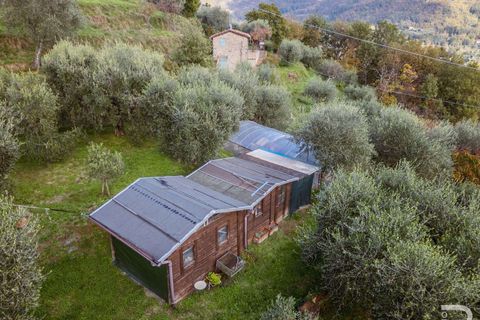 Farm hus i Pescia, Pistoia, Pescia - € 330.000 | Ref: R06870PERU-1322881 - foto 2