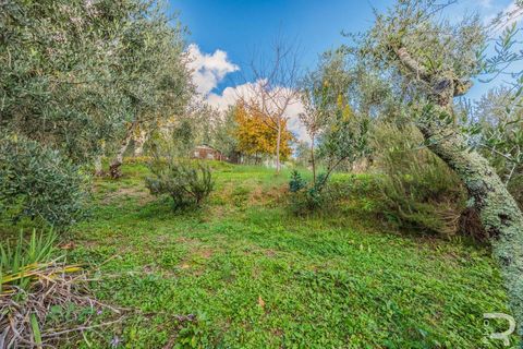 Farm hus i Pescia, Pistoia, Pescia - € 330.000 | Ref: R06870PERU-1322881 - foto 7