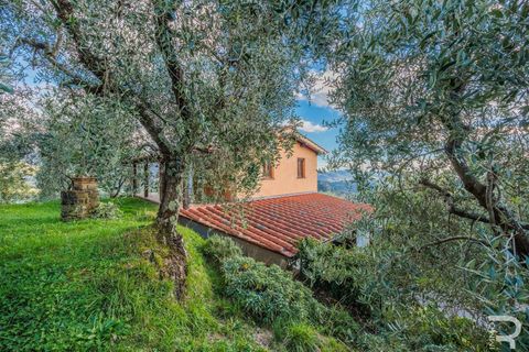 Farm hus i Pescia, Pistoia, Pescia - € 330.000 | Ref: R06870PERU-1322881 - foto 8