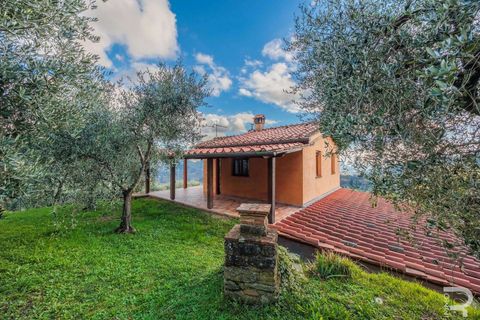 Farm hus i Pescia, Pistoia, Pescia - € 330.000 | Ref: R06870PERU-1322881 - foto 9