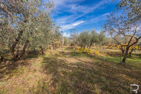 Farm hus i Cortona, Arezzo, Cortona - € 560.000 | Ref: R06854CORU-1323132 - foto 11