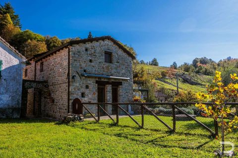 Farm hus i Zeri, Massa and Carrara, Zeri - € 240.000 | Ref: R06773ZERU-1323845 - foto 34