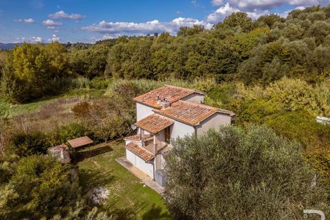 Farm hus i Manciano, Grosseto, Manciano - € 310.000 | Ref: R06770MARU-1323965 - foto 7