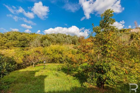 Farm hus i Manciano, Grosseto, Manciano - € 310.000 | Ref: R06770MARU-1323965 - foto 24
