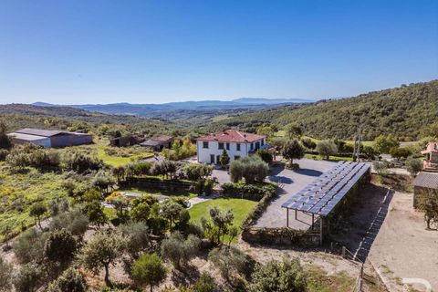Landejendom i Scansano, Grosseto, Scansano - € 2.300.000 | Ref: R06752SCAG-1324458 - foto 8