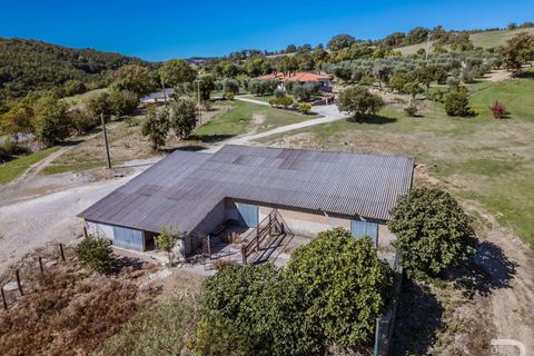 Landejendom i Scansano, Grosseto, Scansano - € 2.300.000 | Ref: R06752SCAG-1324458 - foto 9