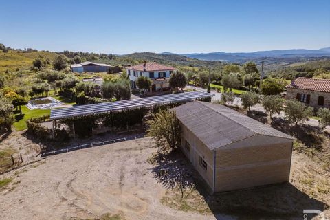Landejendom i Scansano, Grosseto, Scansano - € 2.300.000 | Ref: R06752SCAG-1324458 - foto 10