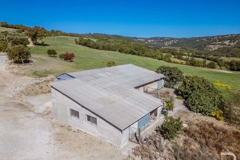 Landejendom i Scansano, Grosseto, Scansano - € 2.300.000 | Ref: R06752SCAG-1324458 - foto 13
