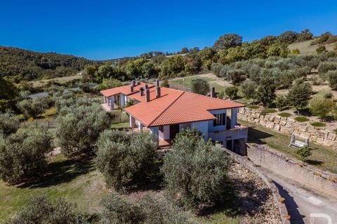 Landejendom i Scansano, Grosseto, Scansano - € 2.300.000 | Ref: R06752SCAG-1324458 - foto 14
