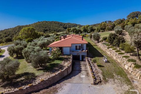 Landejendom i Scansano, Grosseto, Scansano - € 2.300.000 | Ref: R06752SCAG-1324458 - foto 15