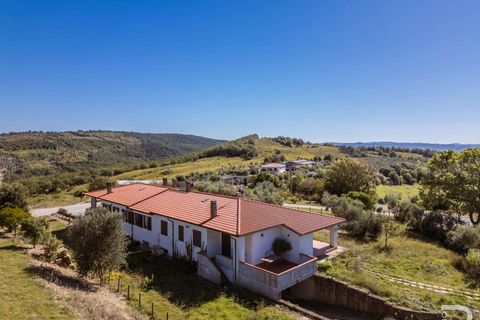 Landejendom i Scansano, Grosseto, Scansano - € 2.300.000 | Ref: R06752SCAG-1324458 - foto 19