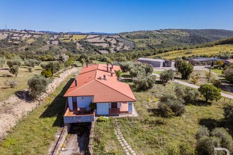 Landejendom i Scansano, Grosseto, Scansano - € 2.300.000 | Ref: R06752SCAG-1324458 - foto 20