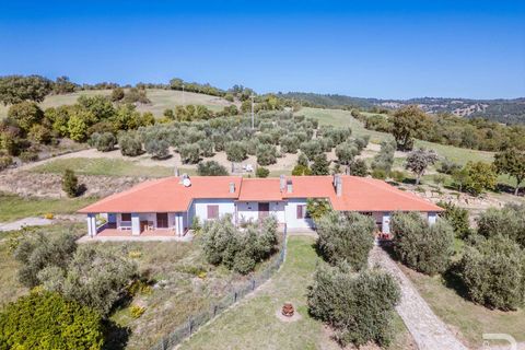 Landejendom i Scansano, Grosseto, Scansano - € 2.300.000 | Ref: R06752SCAG-1324458 - foto 22