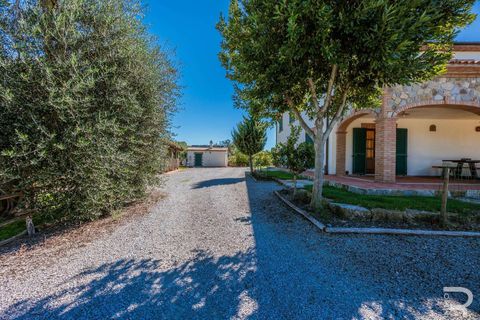 Landejendom i Scansano, Grosseto, Scansano - € 2.300.000 | Ref: R06752SCAG-1324458 - foto 29