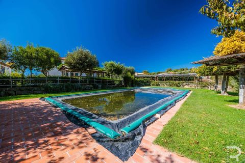 Landejendom i Scansano, Grosseto, Scansano - € 2.300.000 | Ref: R06752SCAG-1324458 - foto 35