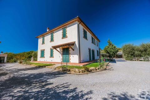 Landejendom i Scansano, Grosseto, Scansano - € 2.300.000 | Ref: R06752SCAG-1324458 - foto 38
