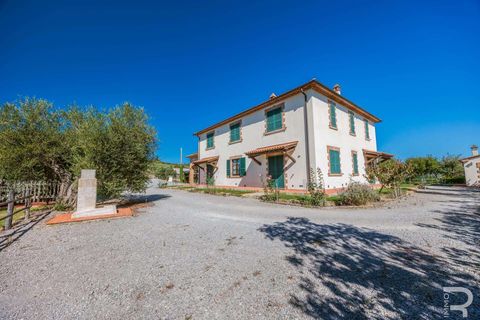 Landejendom i Scansano, Grosseto, Scansano - € 2.300.000 | Ref: R06752SCAG-1324458 - foto 39