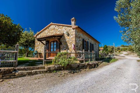 Landejendom i Scansano, Grosseto, Scansano - € 2.300.000 | Ref: R06752SCAG-1324458 - foto 41