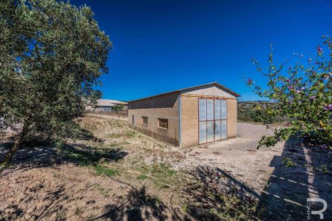 Landejendom i Scansano, Grosseto, Scansano - € 2.300.000 | Ref: R06752SCAG-1324458 - foto 45
