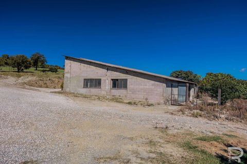 Landejendom i Scansano, Grosseto, Scansano - € 2.300.000 | Ref: R06752SCAG-1324458 - foto 46