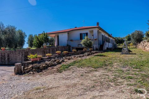 Landejendom i Scansano, Grosseto, Scansano - € 2.300.000 | Ref: R06752SCAG-1324458 - foto 47