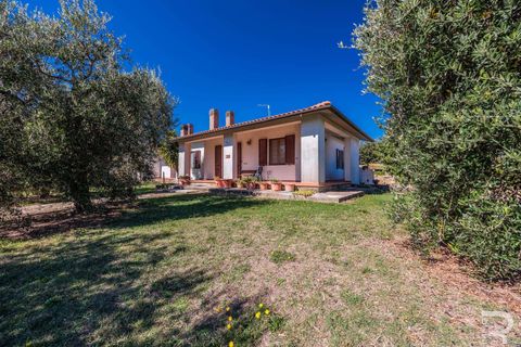 Landejendom i Scansano, Grosseto, Scansano - € 2.300.000 | Ref: R06752SCAG-1324458 - foto 49