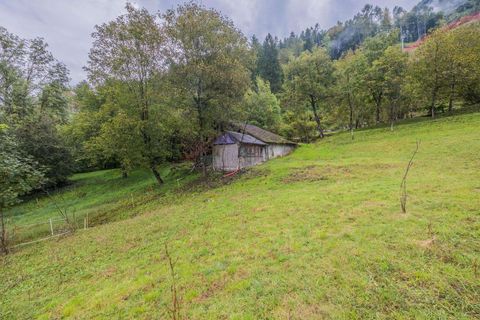 Landejendom i Borgo Lares, Trento, Borgo Lares - € 120.000 | Ref: 6473-1324844 - foto 4
