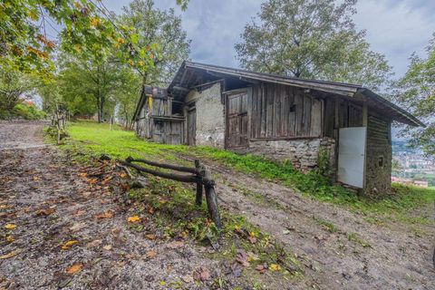 Landejendom i Borgo Lares, Trento, Borgo Lares - € 120.000 | Ref: 6473-1324844 - foto 5
