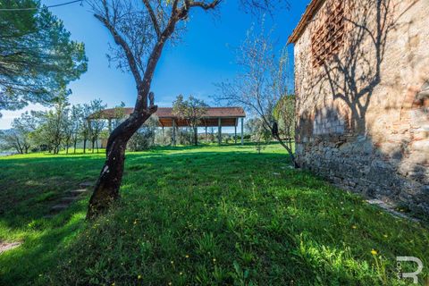 Farm hus i Pomarance, Pisa, Pomarance - € 980.000 | Ref: R06690POCA-1325026 - foto 19