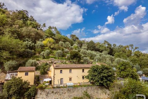 Farm hus i Lamporecchio, Pistoia, Lamporecchio - € 640.000 | Ref: R06715LACA-1325301 - foto 2