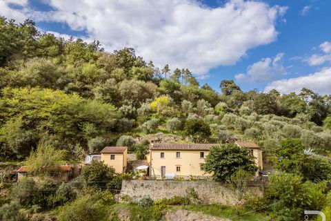 Farm hus i Lamporecchio, Pistoia, Lamporecchio - € 640.000 | Ref: R06715LACA-1325301 - foto 3