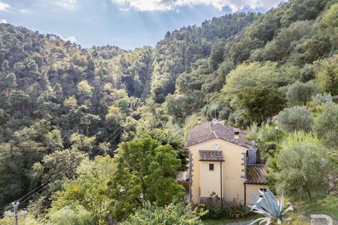 Farm hus i Lamporecchio, Pistoia, Lamporecchio - € 640.000 | Ref: R06715LACA-1325301 - foto 8