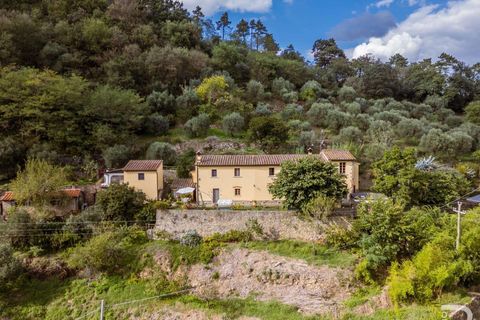 Farm hus i Lamporecchio, Pistoia, Lamporecchio - € 640.000 | Ref: R06715LACA-1325301 - foto 9