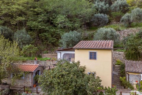 Farm hus i Lamporecchio, Pistoia, Lamporecchio - € 640.000 | Ref: R06715LACA-1325301 - foto 10
