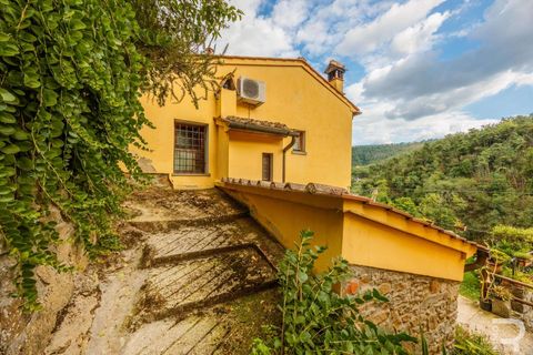 Farm hus i Lamporecchio, Pistoia, Lamporecchio - € 640.000 | Ref: R06715LACA-1325301 - foto 20
