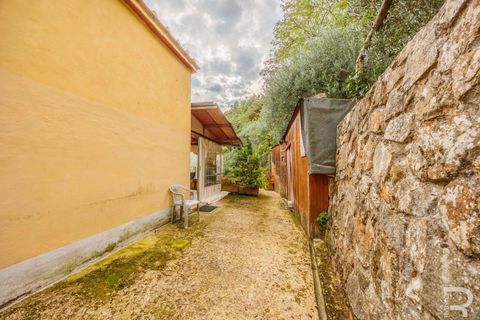 Farm hus i Lamporecchio, Pistoia, Lamporecchio - € 640.000 | Ref: R06715LACA-1325301 - foto 21