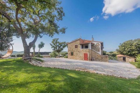 Landejendom i Suvereto, Livorno, Suvereto - € 2.500.000 | Ref: R06687AGSU-1325474 - foto 7