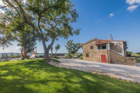 Landejendom i Suvereto, Livorno, Suvereto - € 2.500.000 | Ref: R06687AGSU-1325474 - foto 8