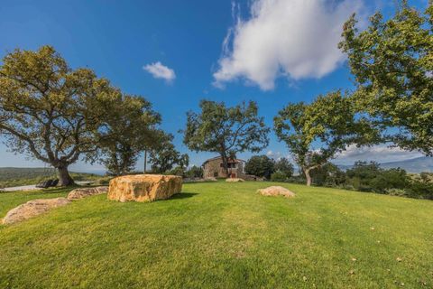 Landejendom i Suvereto, Livorno, Suvereto - € 2.500.000 | Ref: R06687AGSU-1325474 - foto 9