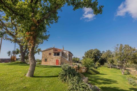 Landejendom i Suvereto, Livorno, Suvereto - € 2.500.000 | Ref: R06687AGSU-1325474 - foto 11