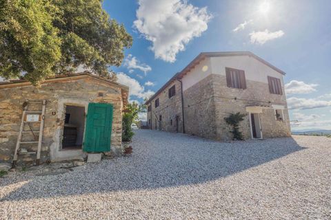 Landejendom i Suvereto, Livorno, Suvereto - € 2.500.000 | Ref: R06687AGSU-1325474 - foto 13