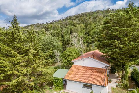 Landejendom i Santa Luce, Pisa, Santa Luce - € 1.380.000 | Ref: R06685SAAG-1325707 - foto 9