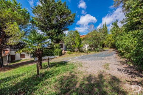 Landejendom i Santa Luce, Pisa, Santa Luce - € 1.380.000 | Ref: R06685SAAG-1325707 - foto 36