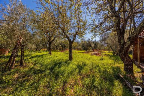 Villa i Reggello, Florence, Reggello - € 480.000 | Ref: R06691REVI-1325989 - foto 19