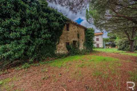 Farm hus i Cortona, Arezzo, Cortona - € 325.000 | Ref: R06672RUCO-1326056 - foto 13